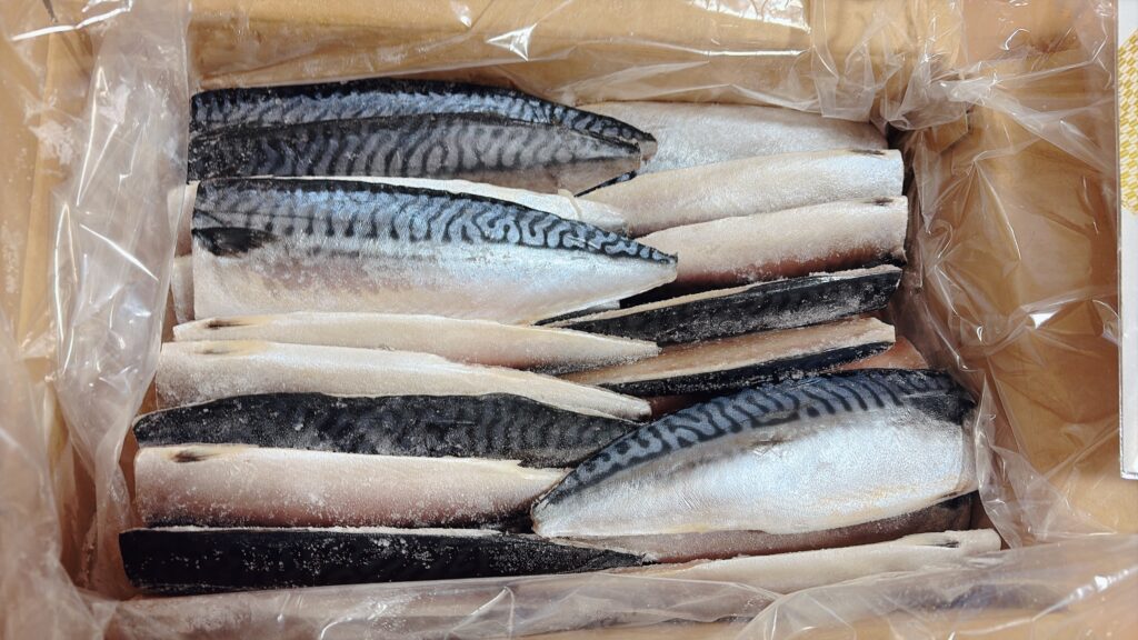【ふるさと納税レビュー】楽天ふるさと納税の返礼品、千葉県銚子市の訳ありトロ塩さば約3kg。冷凍小分けで届いた状態の写真。実際には切身が24枚も入っていた。